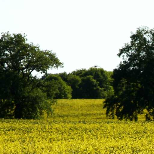 Mirow Natur